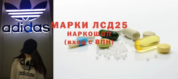 прущие грибы Богородицк