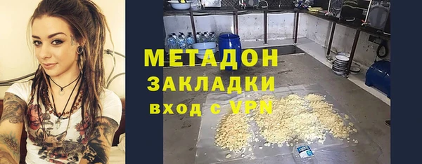 прущие грибы Богородицк