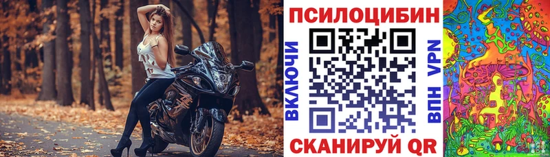 Псилоцибиновые грибы Psilocybe  где купить   Великий Устюг 