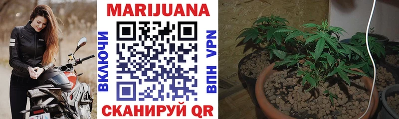 Канабис THC 21%  МЕГА рабочий сайт  Великий Устюг 